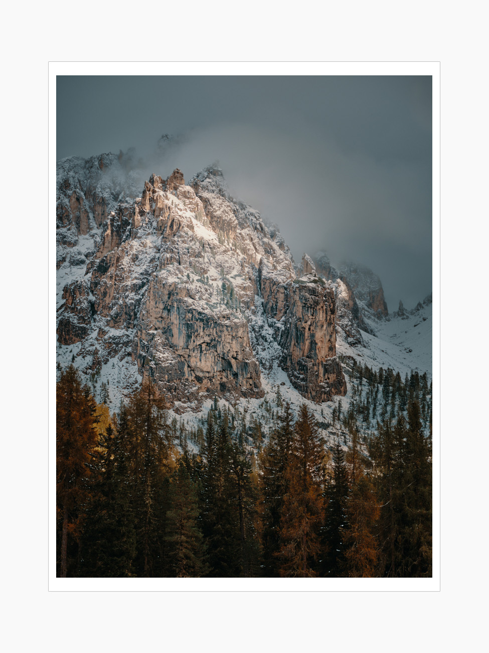 Max Schiefele Alle Bilder  DSF2319